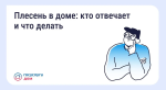Плесень в доме: кто отвечает и что делать