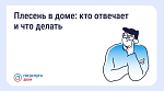 Плесень в доме: кто отвечает и что делать